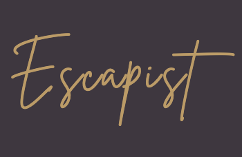 Meet the Team: Team Escapist